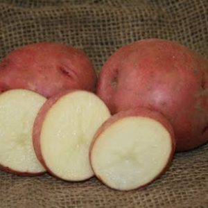 Chieftan Organic Potatoes