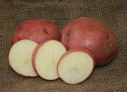 Chieftan Organic Potatoes
