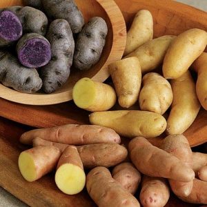 Fingerling Potato Collection 2
