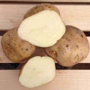 Irish Cobbler Potatoes