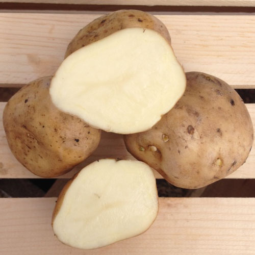 Irish Cobbler Potatoes