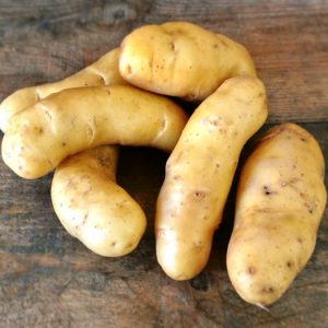 La Ratte Fingerlings Potatoes