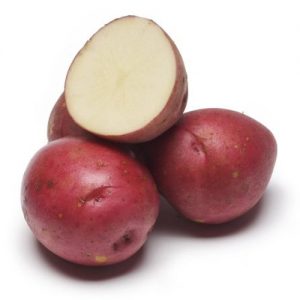 Norland Potatoes
