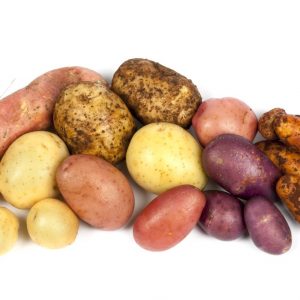 Potato Collection