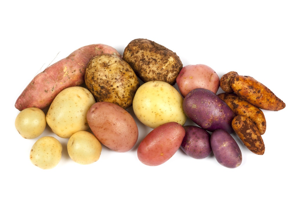 Potato Collection