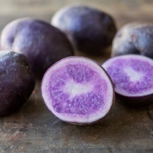 Purple Chief Potatoes