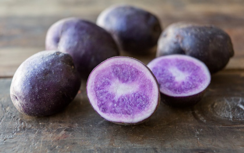 Purple Chief Potatoes